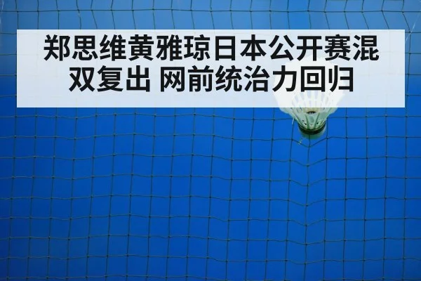 badminton net play