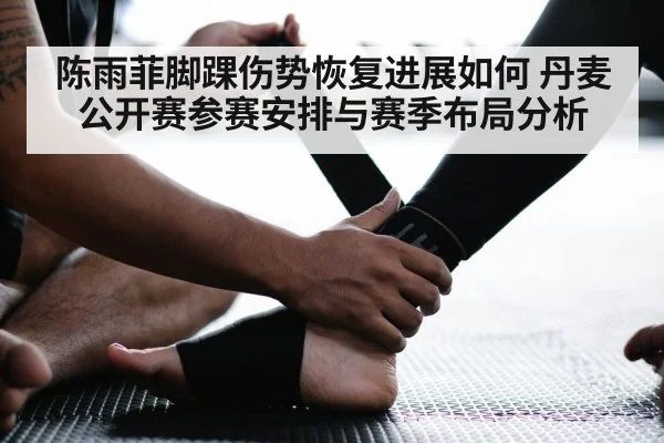 陈雨菲脚踝伤势恢复进展如何 丹麦公开赛参赛安排与赛季布局分析